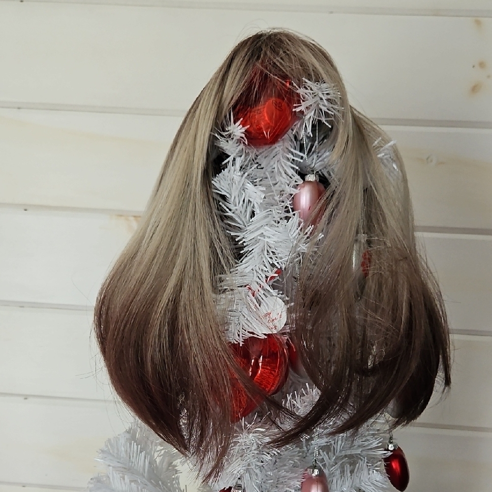 Sleek Brown Ombre Wig with Extensions